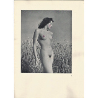 Livros/Acervo/R/ROYE 3